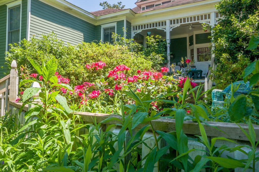 Bed and breakfast Holly House Of Hamilton Extérieur photo