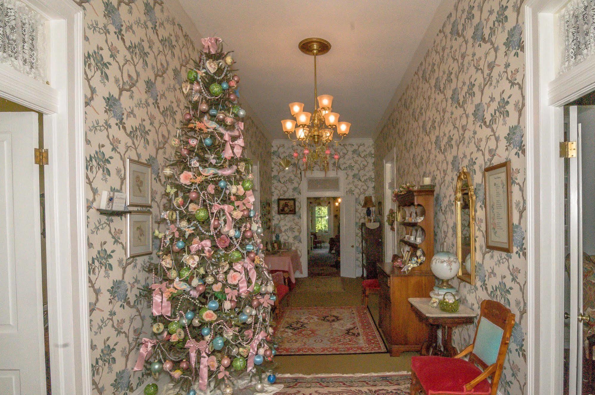 Bed and breakfast Holly House Of Hamilton Extérieur photo